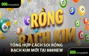 Tổng Hợp Cách Soi Rồng Bạch Kim Mới Tại 888NEW